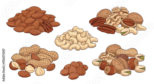 An illustration of a diverse collection of shelled and unshelled nuts, featuring almonds, cashews, peanuts, walnuts, pecans, pistachios, and hazelnuts.