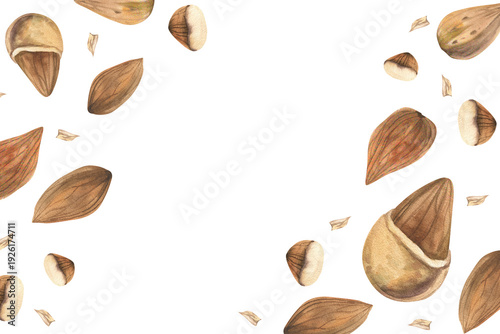 Wallpaper Mural Almond nuts in shell,pieces and pile watercolor banner template for product packing, poster design. Hand drawn fresh nuts clipart, high protein diet painting for recipe design Torontodigital.ca