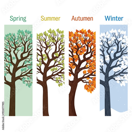 Four Seasons Tree Illustration: Spring, Summer, Autumn, Winter