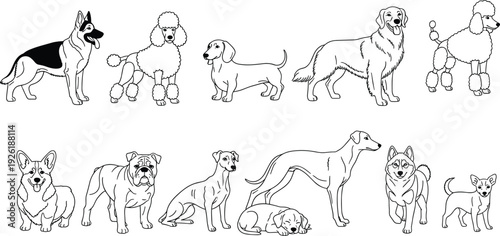 Close up of hand holding small green plant sprout growing from soil with wind turbines and solar panels in background for renewable energy concept