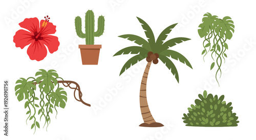 Flat Design Tropical and Desert Plants Red Hibiscus Potted Cactus Palm Tree Green Vines Bush.