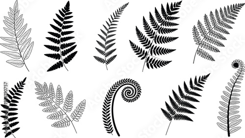 Mega collection of black silhouettes featuring deer bucks desert mountains cacti forest trees ferns and meadow grasses, cad drawing flat vector illustration for nature landscape