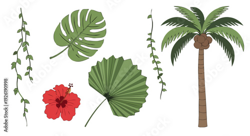 Vibrant tropical plant collection featuring a palm tree monstera leaf red hibiscus flower and green vines.