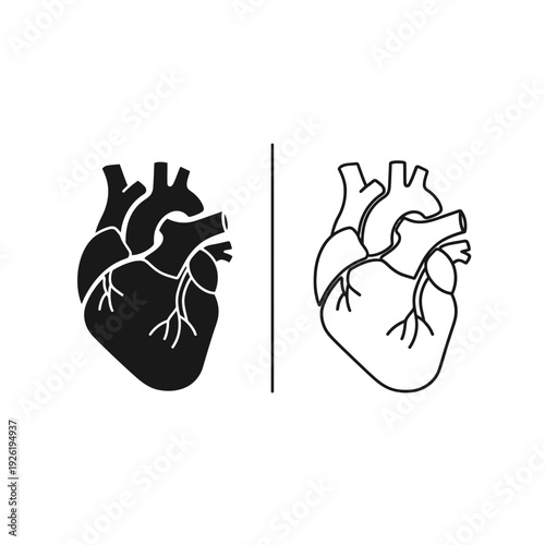 Human heart icons: black solid filled and white outline on white background, anatomy concept