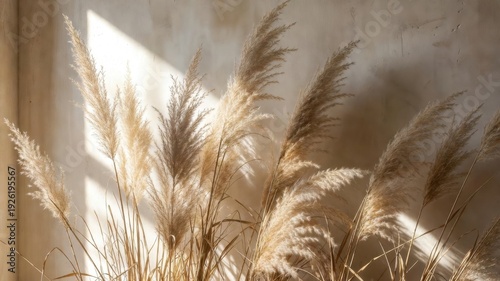 Bunch of dry grass is in the sun. The sun is shining on the grass, making it look even more dry and brown