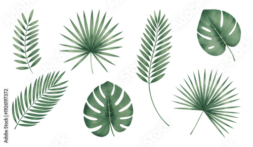 Exotic botanical leaves collection isolated on white background.