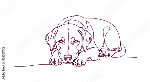The artwork features a dog resting, created in a continuous line art drawing style. This cute pet is illustrated lying down in a minimalist colored linear sketch, with a white background