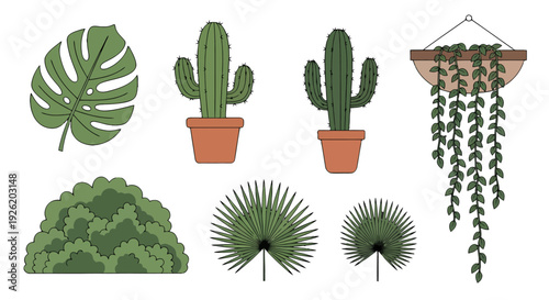 Stylized green plant illustrations monstera leaf potted cacti lush bush fan palm leaves and trailing hanging vine set.