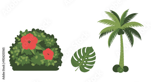 Stylized Tropical Plants Vector Art Red Hibiscus Bush Monstera Leaf Green Coconut Palm Tree.