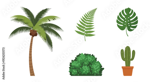 Stylized tropical palm tree illustration with lush green fronds and brown coconuts.