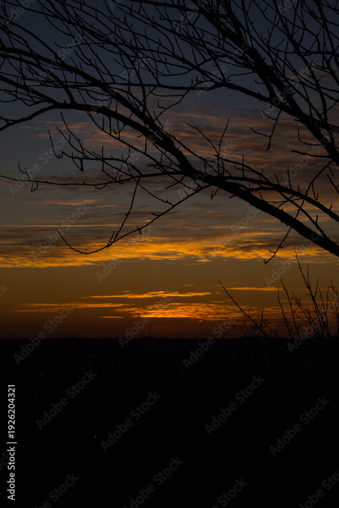 Fototapeta premium atardecer