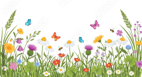 Colorful Wildflower Meadow Illustration with Butterflies and Bees – Spring Floral Vector Background