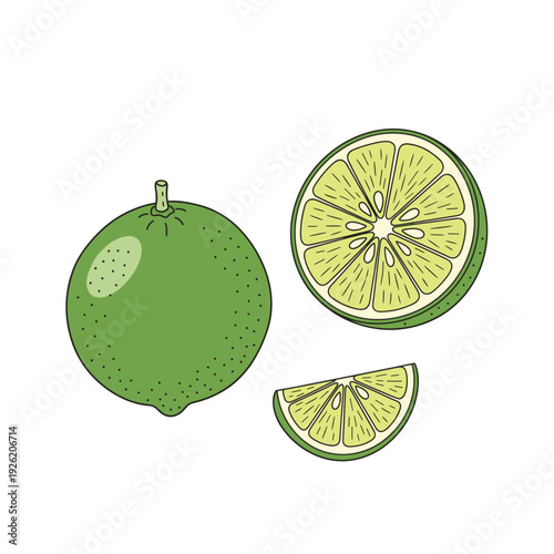 A minimalist drawing of a whole lime alongside a half and a wedge slice. Isolated transparent background ( include cut-out PNG file )