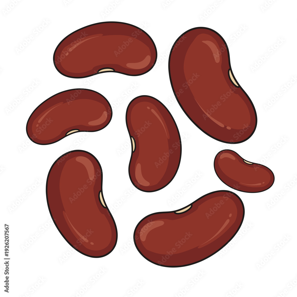 Fototapeta premium Red kidney beans in various sizes arranged together Isolated transparent background ( include cut-out PNG file )