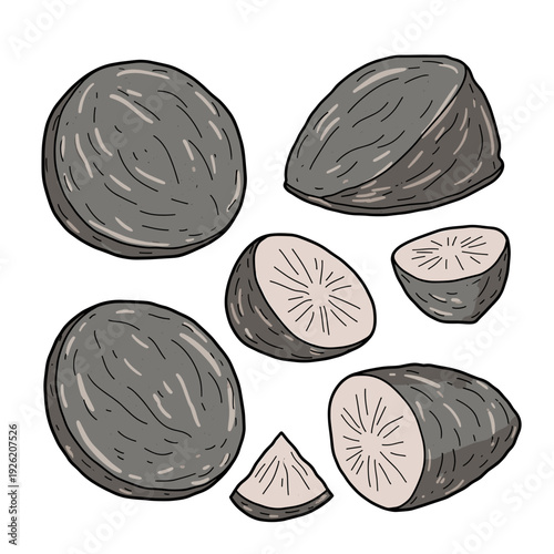dark grey round radishes shown whole and sliced with white inner flesh on white.Isolated transparent background ( include cut-out PNG file )