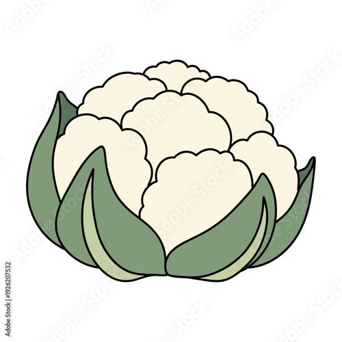 fresh cauliflower head with white curd surrounded by green leaves on a white background.Isolated transparent background ( include cut-out PNG file )