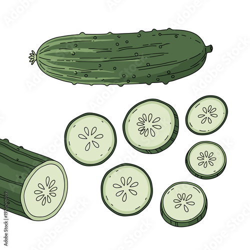 dark green bumpy cucumber whole and sliced into round pieces with pale green inner flesh.Isolated transparent background ( include cut-out PNG file )