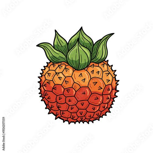Orange spiky pandanus fruit with green leafy crown sits against a plain white background. Isolated transparent background ( include cut-out PNG file ).