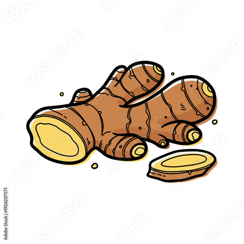 Brown ginger root illustration with a sliced piece showing yellow flesh Isolated transparent background ( include cut-out PNG file )