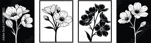 Illustrations of various flowers depicted in black and white, showcased in separate rectangular frames from different viewpoints