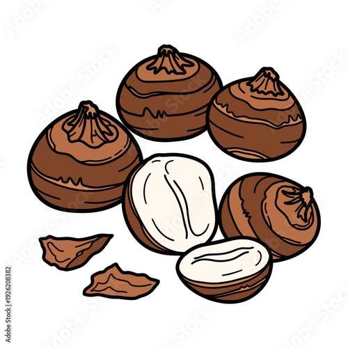 Several brown water chestnuts whole and sliced on a white background. Isolated transparent background ( include cut-out PNG file )