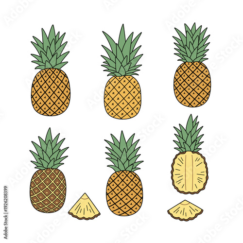 Six diverse yellow pineapples with green leaves and sliced pieces on white background. Isolated transparent background ( include cut-out PNG file )
