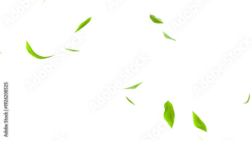 Flying green leaves cutout transparent 3D render