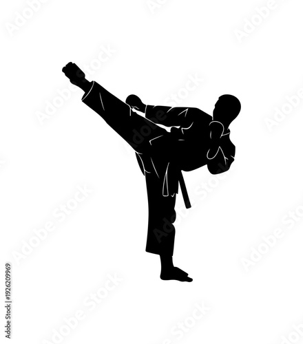 Martial Arts Kick