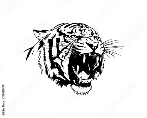 Aggressive Tiger Head Illustration