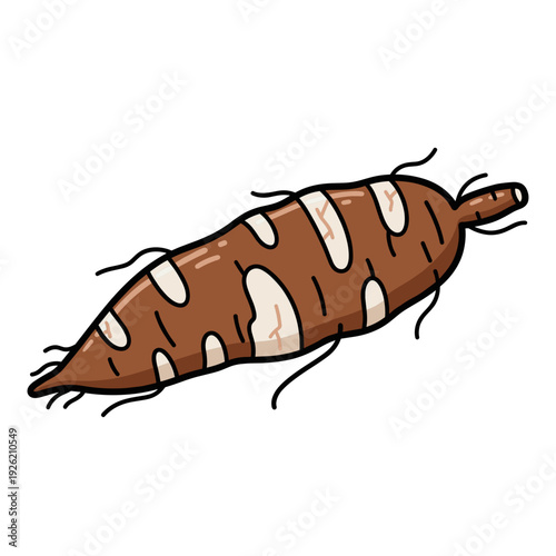 Stylized illustration of a brown cassava root with white patches on a white background. Isolated transparent background ( include cut-out PNG file )