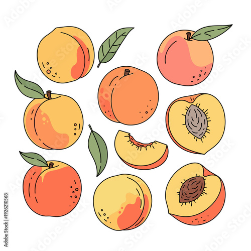 Stylized illustration of whole and sliced peaches with leaves on a white background. Isolated transparent background ( include cut-out PNG file )