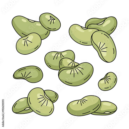 Green lima beans with black outlines are scattered across a plain white background. Isolated transparent background ( include cut-out PNG file ).