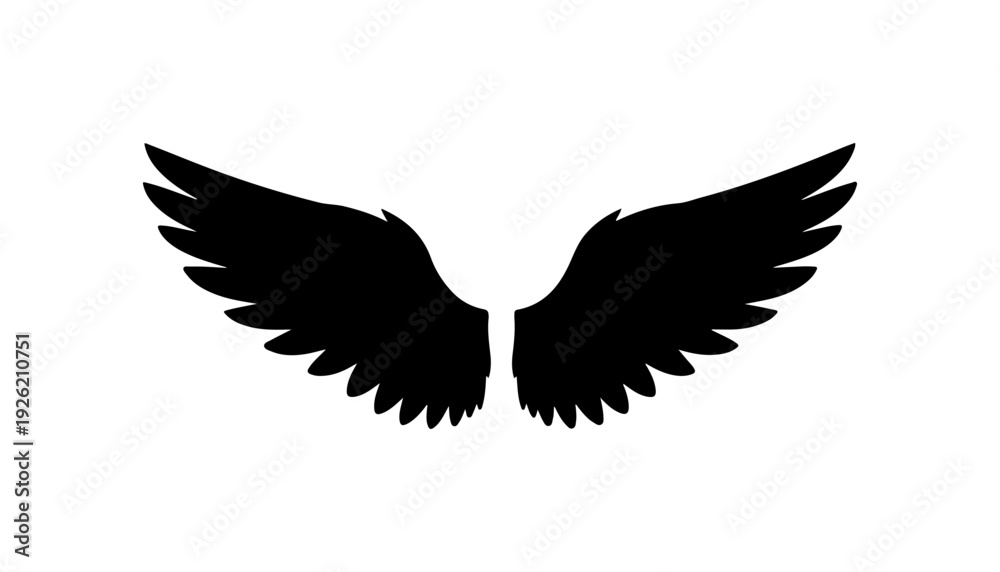 Obraz premium Black Wings Silhouette