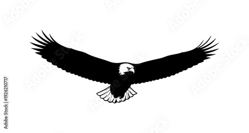 Silhouette of a Bald Eagle in Flight