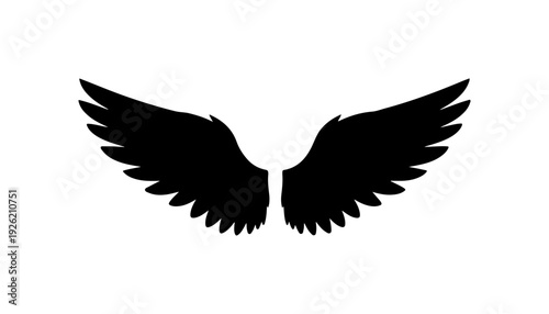 Black Wings Silhouette