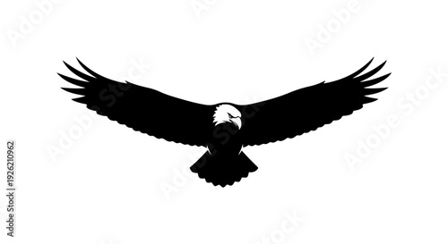 Bald Eagle Silhouette