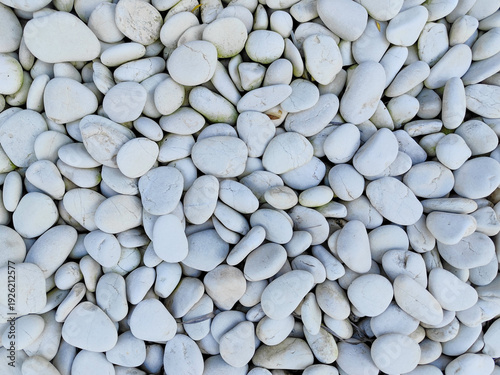 Fotografie Premium polished white pebbles for elegant landscaping, aquarium decor, and garden paths