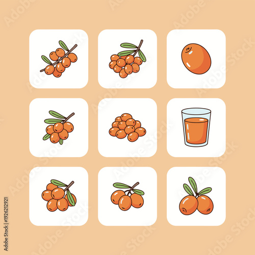 Sea buckthorn berries collection including branches whole berries and fresh juice glass in flat vector style for herbal medicine and organic nutrition