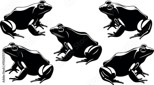 Frog silhouettes collection, crouched frog illustrations, animal posture icons, amphibian artwork set, wildlife outline graphics, nature design elements, minimalistic black white artwork