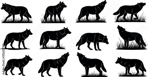 Wolf silhouettes collection, animal posture icons, wildlife illustration set, standing and walking wolves, nature design elements, predator outline graphics, forest creatures artwork