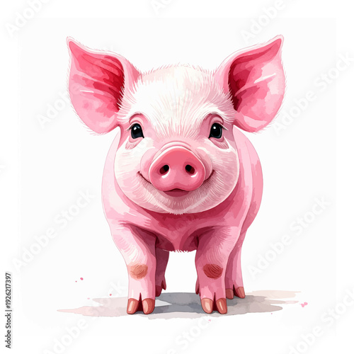 A cute pink piglet standing alone.