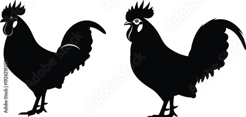 Two black rooster silhouettes standing on white background