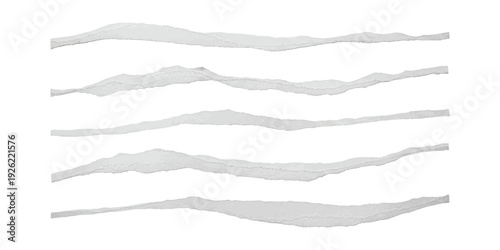 Five pieces of torn paper with rough edges arranged horizontally on a white background