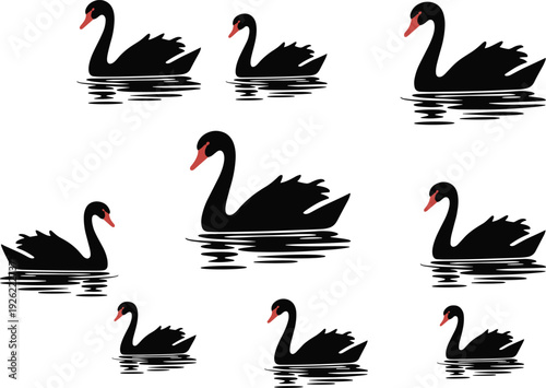 Black swans, water ripples, bird vector, wildlife clipart, nature design, elegant illustration, swimming birds, animal graphic, avian icon, lake symbol