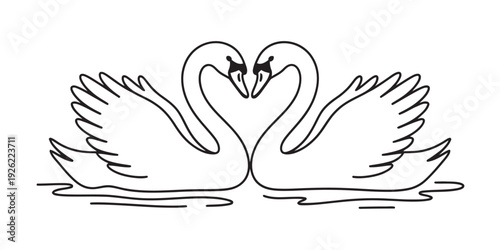 Simple line drawing of two graceful swans facing each other to create a heart shape on water Vector, illustration