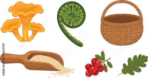 Colorful Organic Food Ingredients Basket Illustration Vector Art Design