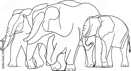 Elephant herd silhouette style outline (3 elephants), minimal overlapping lines, clean negative spacing, no gradients 3