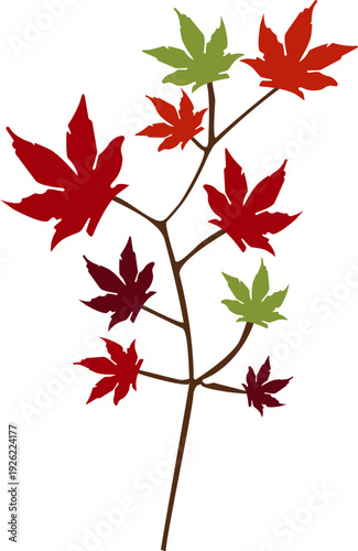 Autumn Maple Branch