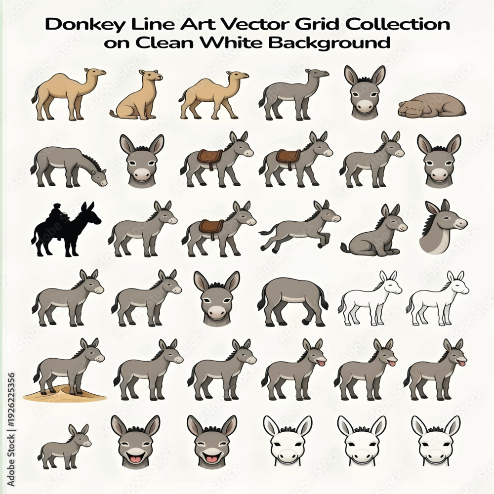 Fototapeta premium Donkey Line Illustration Isolated on White Background