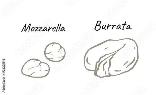 minimalist line art illustration of mozzarella balls and a burrata with flowing interior in monochrome. Ideal for menus, packaging, culinary blogs, recipe cards, and icons.